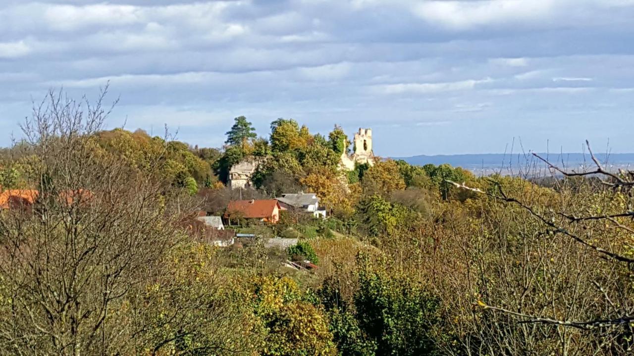 Вилла Kuca Za Odmor Vinica Breg Вараждин Экстерьер фото